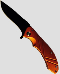 AP019